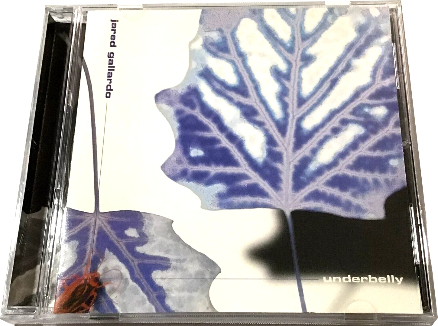 Underbelly album cover